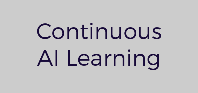 Continuous AI Learning
